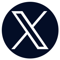 公式X